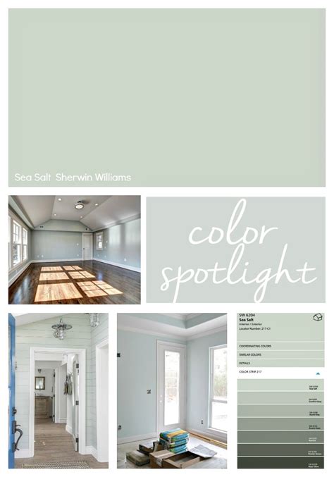 Sherwin Williams Sea Salt: Color Spotlight