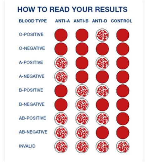 Solved Question: If an agglutination test only showed | Chegg.com