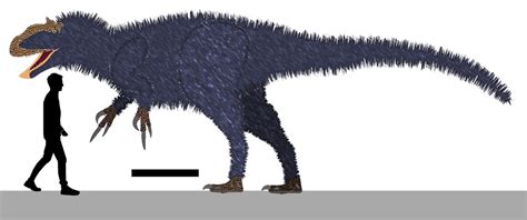 Yutyrannus Size by Paleotuga on DeviantArt