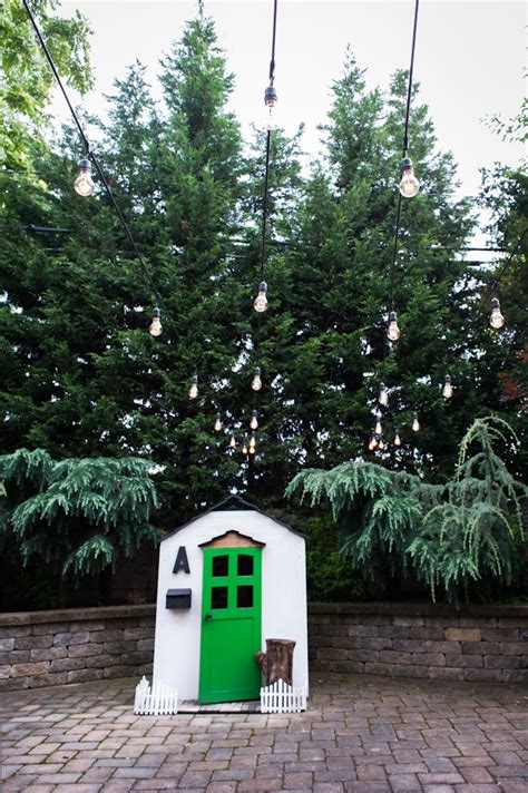 The BEST backyard trees for privacy