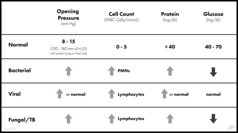 Medline Plus Medical Encyclopedia: Csf Analysis In Meningitis