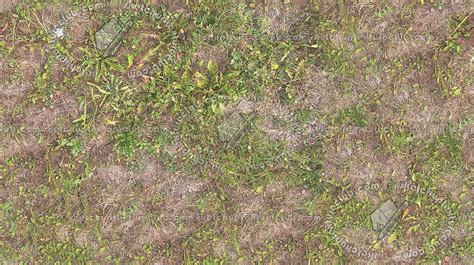 Dry grass texture seamless 17331