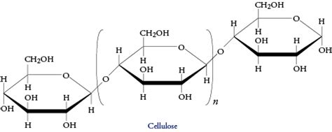 Cellulose Jmol