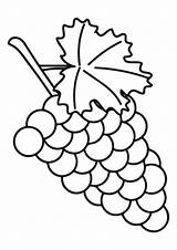 Dibujos De Uvas Para Colorear E Imprimir– ColoringOnlyCom sketch template