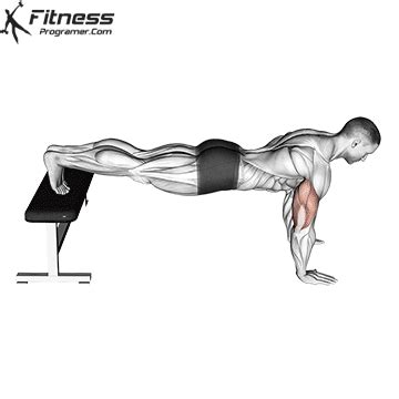 How To: Decline Push-Up | Muscles Worked And Benefits