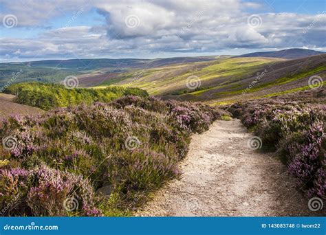 Hiking Trail in Cairngorms National Park. Aberdeenshire, Scotland Stock ...