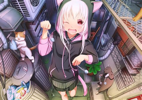 1080x2340px | free download | HD wallpaper: Anime, Original, Cat, Cat Girl, Trash, Trashcan ...