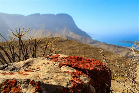 Hiking in Gran Canaria: the island’s best walks - Lonely Planet