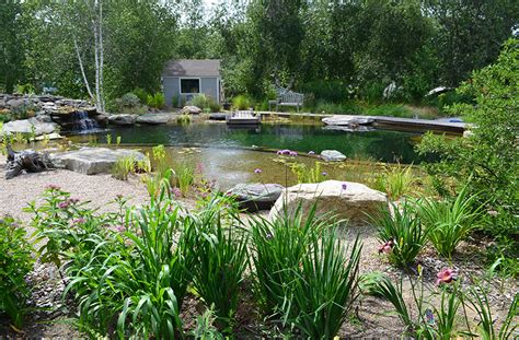 Design Q+A: Natural swimming pools - The Martha's Vineyard Times