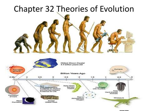PPT - Chapter 32 Theories of Evolution PowerPoint Presentation, free download - ID:998174