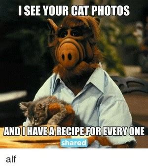 Alf - Alf Photo (7617705) - Fanpop