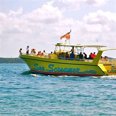 Shell Island Snorkel and Swim Excursion on the Sea Screamer - TripShock!