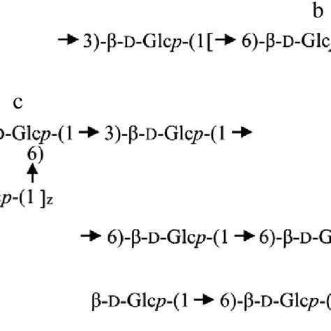 Fragments of laminaran structure. | Download Scientific Diagram