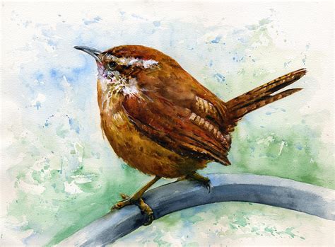 Carolina Wren Drawing at PaintingValley.com | Explore collection of Carolina Wren Drawing