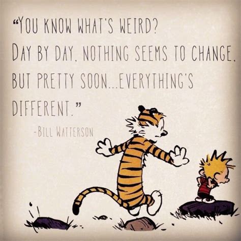 Pin by Sherah Elway 🌻 on Days n Seasons memes | Calvin and hobbes ...