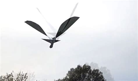 Army’s new robotic bird drone is so realistic it gets attacked by hawks | Spy drone, Drone ...