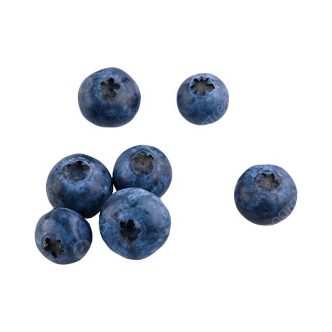 Blueberry Diet Delicious Vitamin, Blueberry, Sweets, Food PNG ...