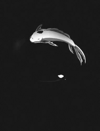 Koi Fish GIF - Koi Fish YinYang - Discover & Share GIFs | Koi, Gifs ...