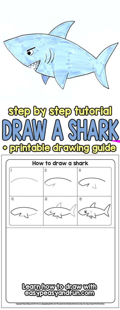 Shark Drawings Step By Step