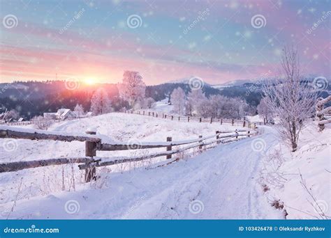 Winter Country Landscape with Timber Fence and Snowy Road Stock Photo - Image of beautiful ...