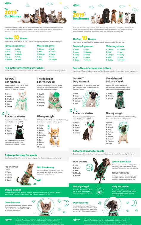 These are the top pet names in Canada this year | CTV News