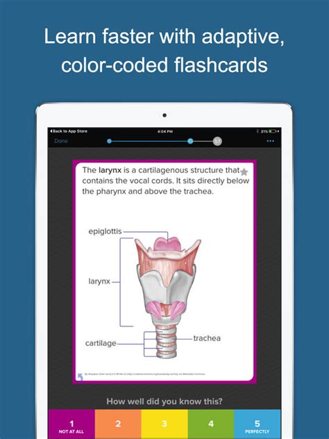 Brainscape - Smart Flashcards screenshot