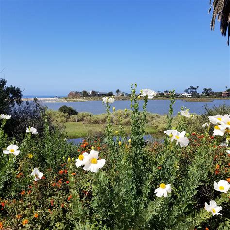 Malibu Lagoon - Nature Meets Legend | Malibu Beach Inn Blog