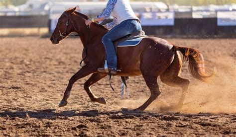 Types of Spurs and Their Uses - Helpful Horse Hints