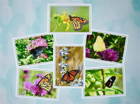 Butterfly Note Cards - Blank Note Cards 60-0270