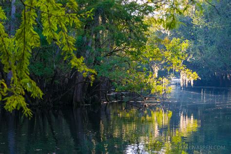 Discover Manatee Springs State Park