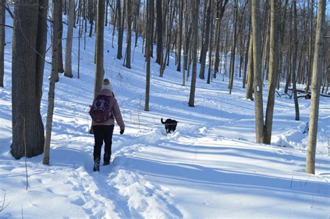 Hiking in the winter | Bruce Trail Conservancy