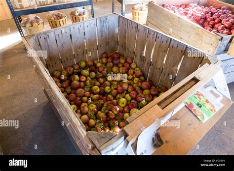 Beak and Skiff apple orchards Stock Photo - Alamy