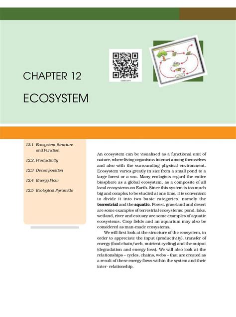 NCERT Book Class 12 Biology Chapter 12 Ecosystem