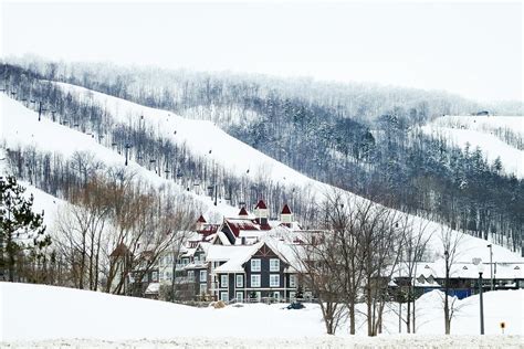 Blue Mountain Ski Resort Photograph by Tatiana Travelways - Fine Art America