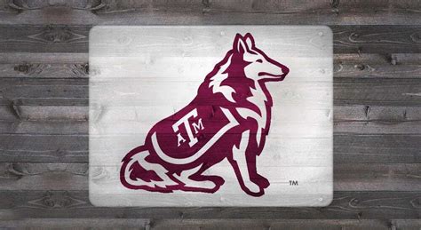 Texas A&M Reveille Stencil Kit - The Tailgater TAMOOS-303 | U-Stencil