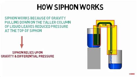 Siphon Science Diagram