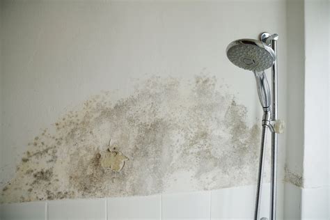 Bathroom Water Damage: Essential Prevention and Restoration Steps