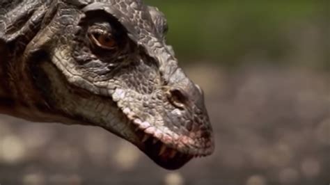 Hunting with a T-Rex | Walking with Dinosaurs in HQ | BBC Earth - YouTube