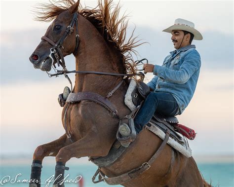 Bahrain Cowboys horse riding and rearing | Tekenen