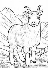 Mountain Goat Coloring Page » Free Download Artus Art sketch template