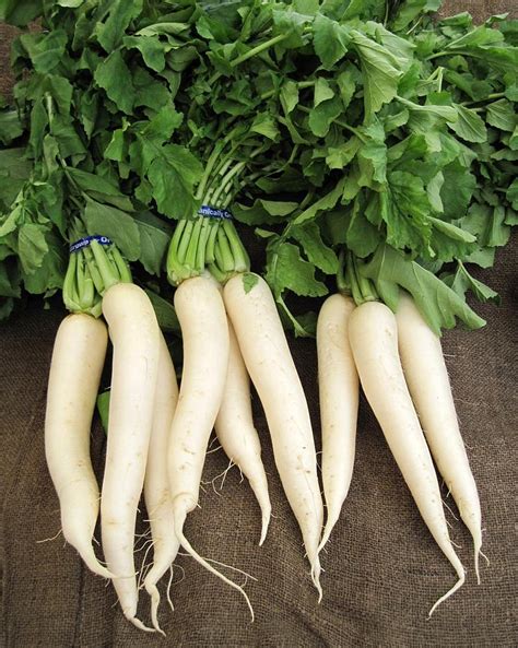 5 Vitamin-Packed Asian Vegetables You Can Grow In Your Garden - Off The Grid News