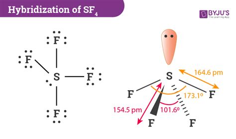 Lewis Structure Of Sf4 - slidesharetrick