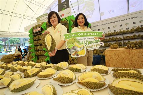 The Original Thailand’s Amazing Durian and Fruit Fest 2019 | Zipevent - Inspiration Everywhere