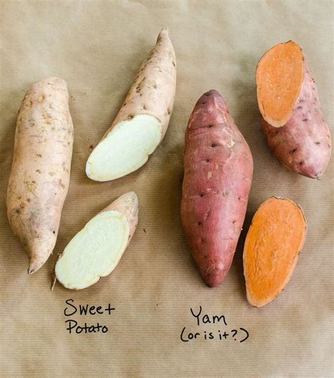 What's the Difference Between Yams and Sweet Potatoes? | Kitchn