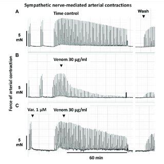 | Representative computer traces of the sympatholytic effects of... | Download Scientific Diagram