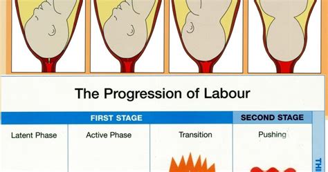 My Rhythm of Life: Understanding the Stages of Labour is Laborious