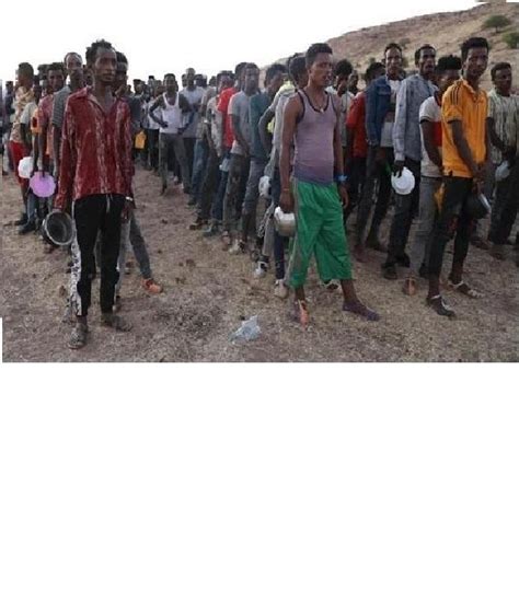 More than 75,000 Ethiopian refugees pour into the country in five months – blnews