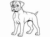 Boxer Dog Coloring Fun For Kids  Page sketch template
