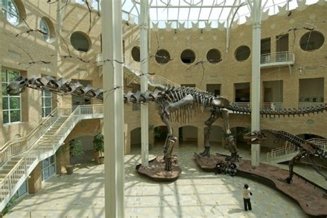 Fernbank Museum: Fun for Kids of All Ages