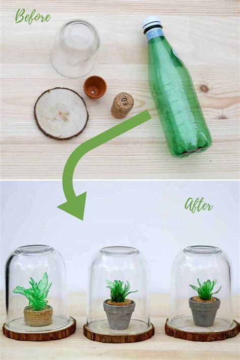 How To Water Succulents In Terrarium - devenirhotesse